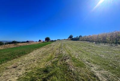 Teren intravilan - 1500 mp, Luizi-Calugara - 3