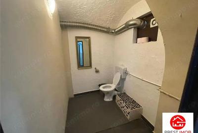 De vanzare spatiu comercial zona ultra centrala 277 mp - 2