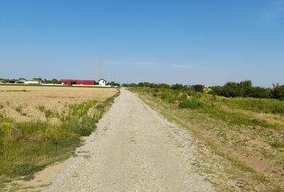 Teren în Ciorogârla - 3