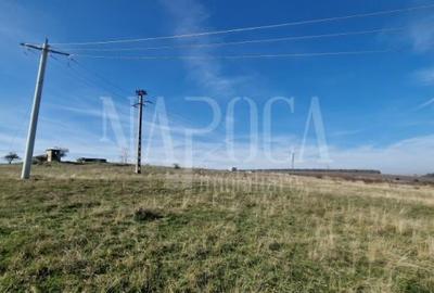 Teren extravilan agricol de vanzare in Iris, Cluj Napoca - 5