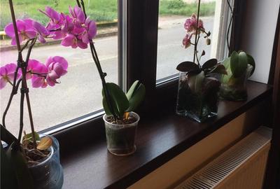 Casă cu 4 camere în Ciugud - 5