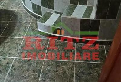 CASA SI SPATIU COM.DANEASA-PESTRA - 1