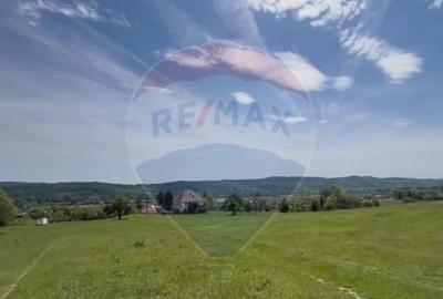 Fost Conac cu padure si teren 54h - 5