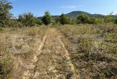 Teren intravilan, 15 arii, pretabil pentru investitii, const - 5