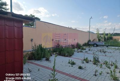 Casă cu 10 camere cu Teren 6000 Mp în Bulbucata - 5