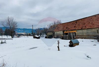 Teren intravilan 9.574 mp în Săliște, poziție strategică, ideal invest - 11