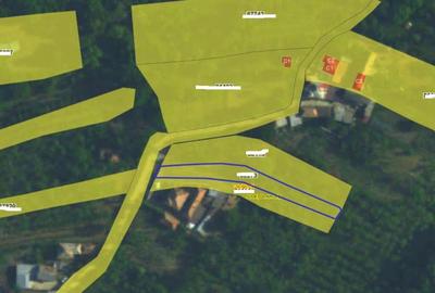 Teren intravilan- Com. Calinesti, jud. Arges - 5