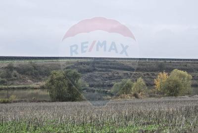 Teren extravilan de 129700 mp, în Iepurești - 7