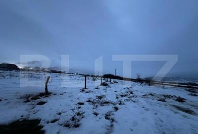 Teren intravilan, 5500 mp, utilitatile la front - 1