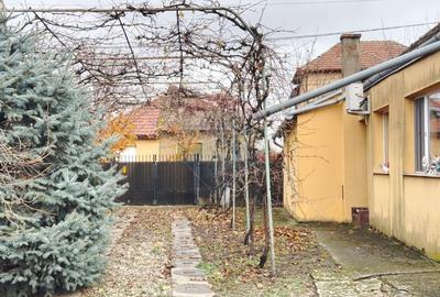 Casă cu 3 camere cu Teren 2877 Mp în Freidorf - 11