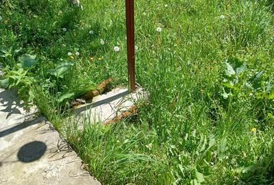 Casa 2 camere plus living - 3