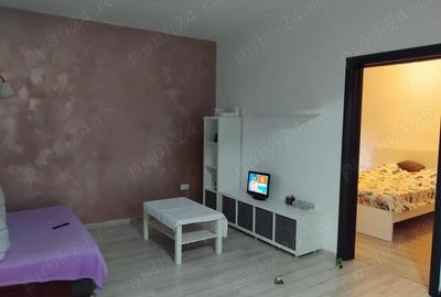 Apartament cu 2 camere semidecomandat în Roșu - 10