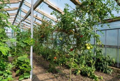 Vanzare vila si spatiu comercial, cu gradina si garaj-zona Corbii Mari - 18