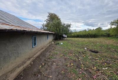 Casă cu 3 camere cu Teren 3000 Mp în Deleni - 1