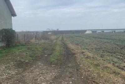 Teren Construcții extravilan de 4850 mp, în Central - 9