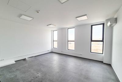 Hale,spatii industriale Albota,Pitesti Arges - 3