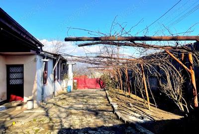 Casă cu Teren 624 Mp în Ultracentral - 1