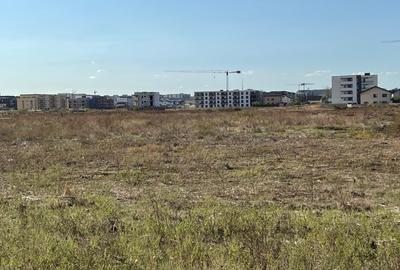 Titan - Policolor- Drum Gura Solcii 3000 mp - 8