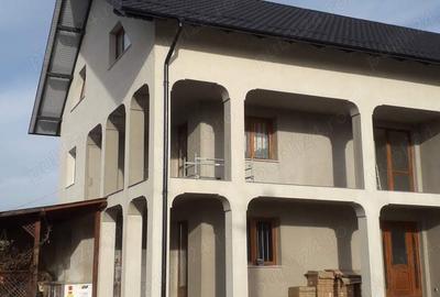 Casă cu 6 camere cu Teren 4000 Mp în Mereni - 2