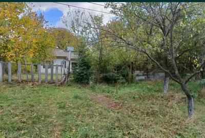 Casă cu 2 camere în Schitu Duca - 6