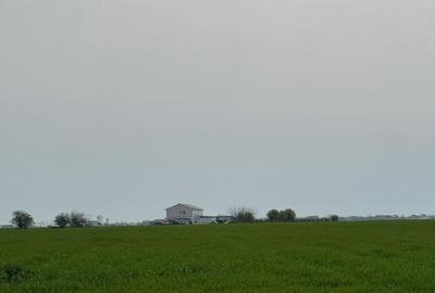 Vanzare Teren construibil Magurele 10000MP - 2