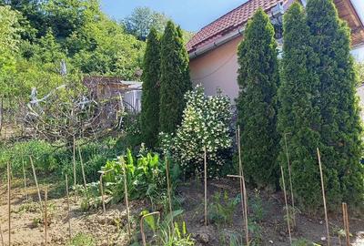 Casă cu 3 camere cu Teren 15 Mp în Viișoara - 8