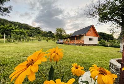 Casă cu 1 camere cu Teren 2499 Mp în Periferie - 1