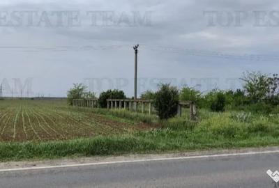 Teren de 7500 mp, în Cazasu - 1