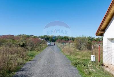 Teren de 1296 mp, în Sânpetru