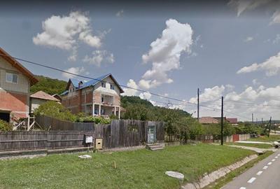 Casă cu 4 camere cu Teren 2513 Mp în Prislopu Mic - 3