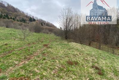Teren Extravilan de vanzare Glajarie - 6
