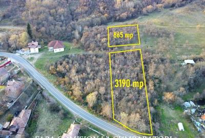 TEREN 4055 MP, DESCHIDERE 28 ML - 3