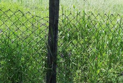 Casă cu 2 camere în Târsa - 7