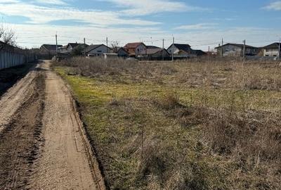 Vand teren Dobreni - Giurgiu - iesire din comuna Berceni - 3