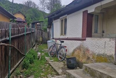 Casă cu 3 camere în Șoimari - 7