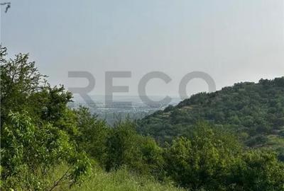 Teren de 8200 mp, în Podgoria - 7