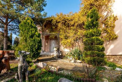 0%  COMISION! Casa individuala, garaj, 950 mp de teren, Borhanci - 2