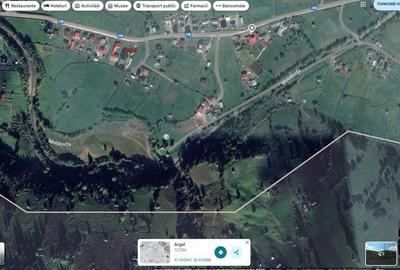 Casă cu Teren 4880 Mp în Argel - 9