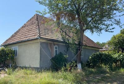 Casa cu teren De Vanzare in Ariesul de Padure - 5