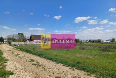Teren de 520 mp, în Săbăreni