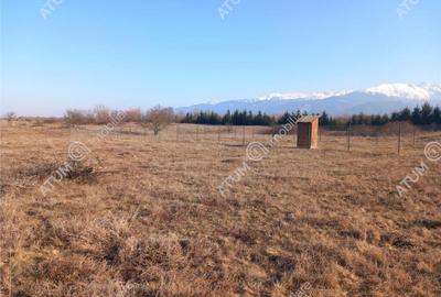 Teren intravilan 7900 mp de pe Valea Avrigului - 7