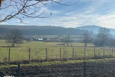 Spațiu comercial, în Rășinari