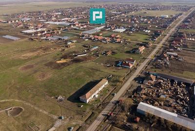 Hală industrială cu teren generos în Zărand, Arad - 26