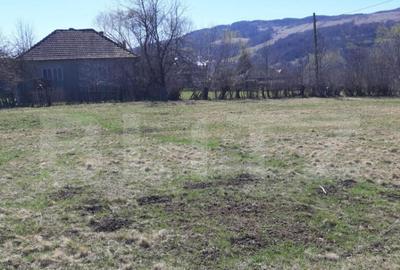 Teren extravilan 1.000 mp Valea Draganului - 1