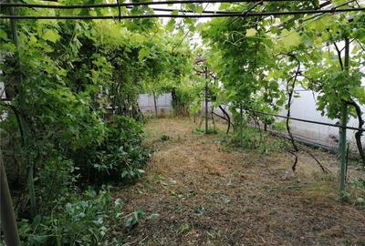 Casă în Vârtop - 3