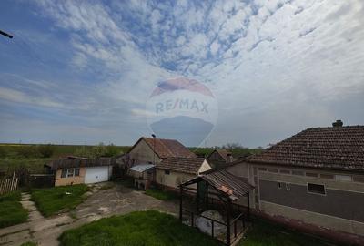 Casă individuală cu 3 camere cu Teren 2175 Mp în Mailat - 29
