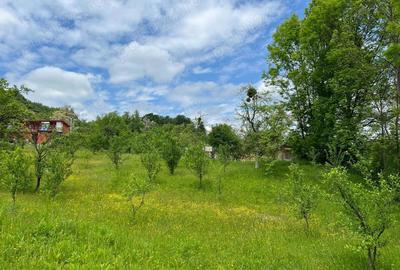 Teren de 4200 mp, în Ocina de Sus - 7