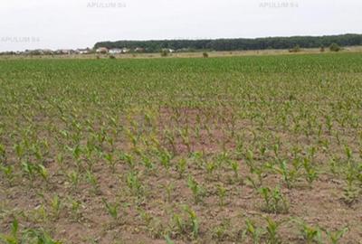Teren Otopeni Corbeanca- Ana Aslan. - 2