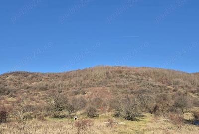 Teren de 3000 mp, în Aninoasa - 2