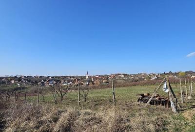 Teren agricol intravilan de 850 mp, în Săldăbagiu de Munte - 2